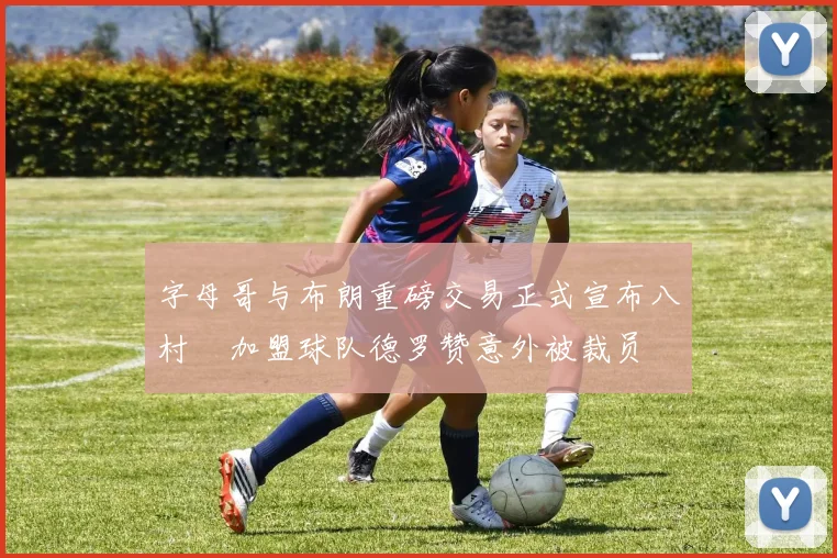 字母哥与布朗重磅交易正式宣布八村塁加盟球队德罗赞意外被裁员