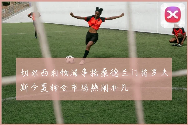切尔西利物浦争抢桑德兰门将罗夫斯今夏转会市场热闹非凡