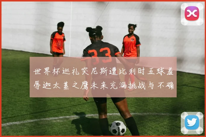 世界杯巡礼突尼斯遭比利时五球羞辱迦太基之鹰未来充满挑战与不确定性